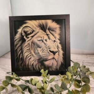 Lion Engraved Picture - Wildlife Wall Art