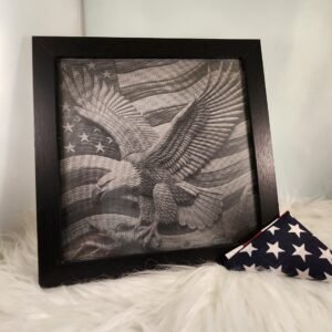 American Eagle with American Flag