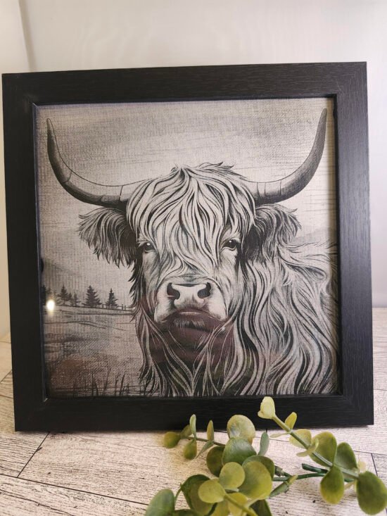 Engraved Highland Cow Art